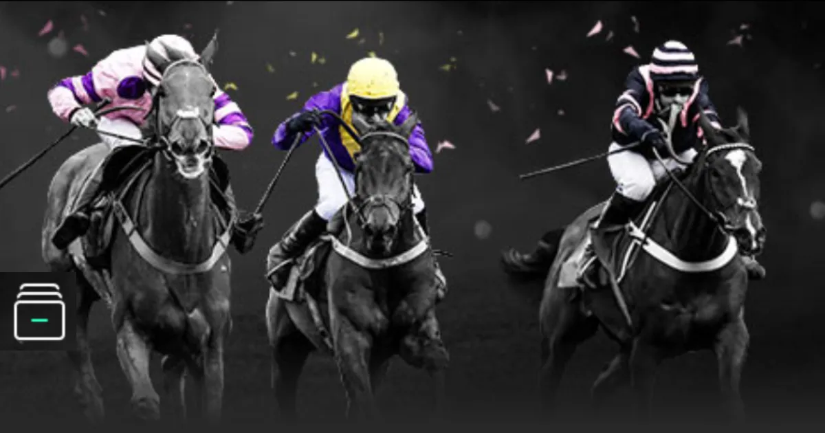 剖析,杭州经济动,脉中体育产,开云体育,开云体育官网,开云体育app,开云体育app下载