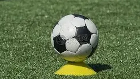 柳承敏：奥运乒乓金牌得主变身韩奥委会主席——环球时报